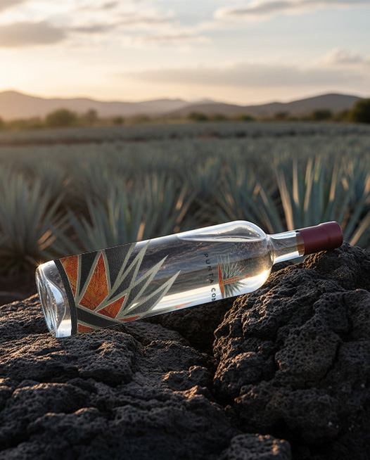 Punta Cobre: destilados artesanales mexicanos